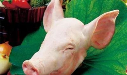 猪头吃瓜爆料图片高清大图,高清大图揭秘网络热议瞬间